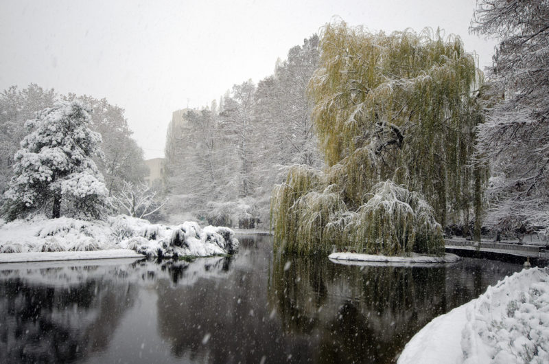 Pečati i graviranje